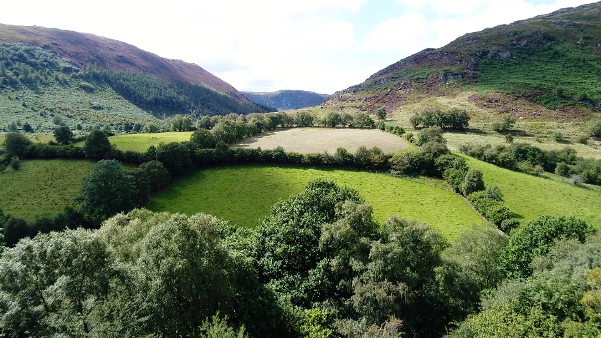 In May a new visitor centre was opened in this gem of a reserve run by Radnorshire Wildlife Trust. This includes the 5 minute film I produced <a href="http://www.johnwaters.tv/video/index.php?vimeo_id=271117487">" Making Sense of Gilfach" </a> ... presented by Iolo Williams.