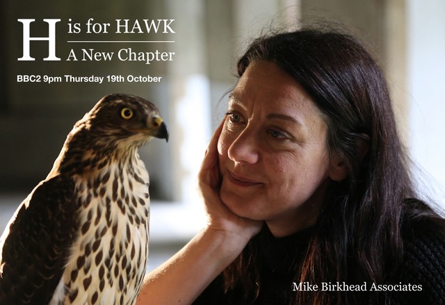As part of BBC 2's The Natural World "H is for Hawk - a new chapter" was broadcast on 19th October 2017 to widespread critical acclaim. Watch clip <a href="http://www.johnwaters.tv/video/index.php?vimeo_id=244030540"> here. </a>