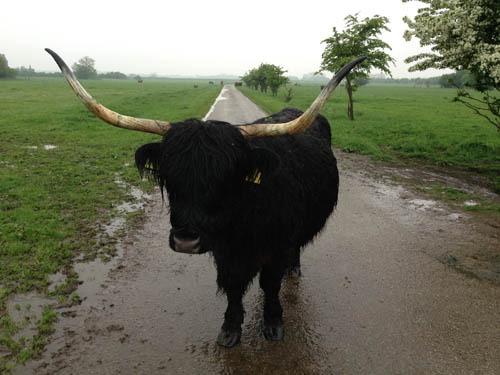 In May and June 2013 I travelled to Holland and the USA for filming on a science documentary looking at man's effect on evolution. HD Camera. Skyvision for <a href="http://www.terramater.at">Terra Mater.</a> Delivered December 2013.