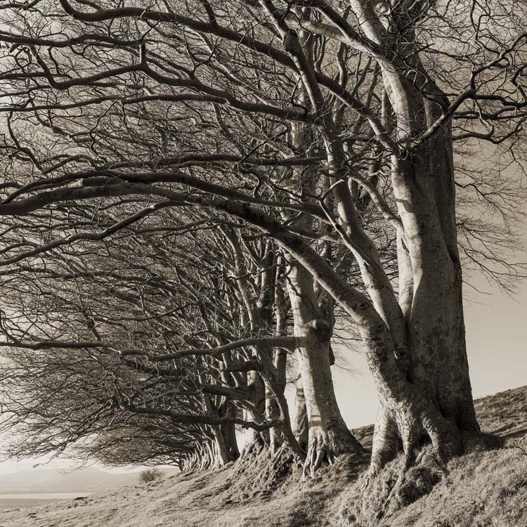 The <a href="http://www.a2gallery.co.uk">A2 Gallery</a> in Wells will be featuring an exhibition of my landscape photographs from November 2014.