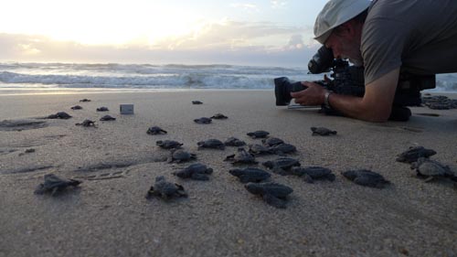 In May 2013 I started another filming trip for "Wild Mexico" - an exploration of the wildlife hotspots of Mexico. Produced by Skyvision for Animal Planet. In production.