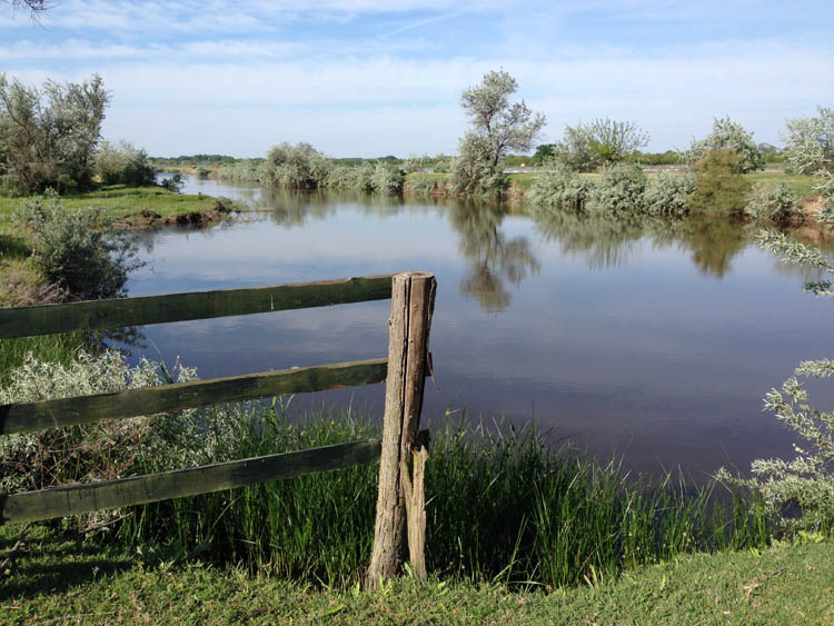 In May 2015 I went to the Danube Delta in Romania to film a section for a series on Europe's 'Wildest Places'. Produced by Off The Fence for National Geographic.