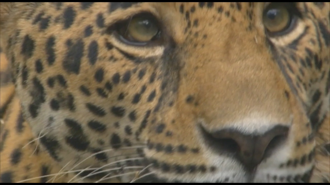 I have updated my showreel to include more shots from over the last couple of years. You can watch it <a href="http://johnwaters.tv/video/index.php? vimeo_id=136698727"> here </a>.