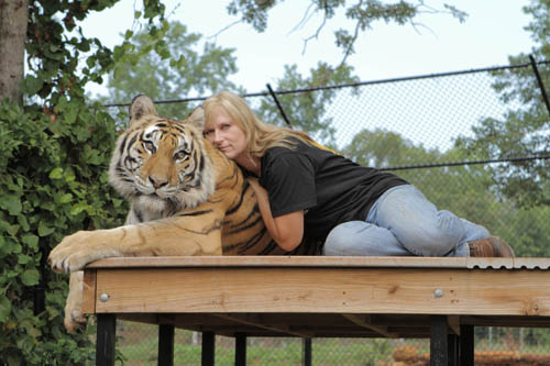 June 2012 saw a trip to the USA to film in Denver, San Francisco, Palm Springs & Texas to finish up a project about domestic cats â€¦ have we domesticated them or they us?
Skyvision for National Geographic. 