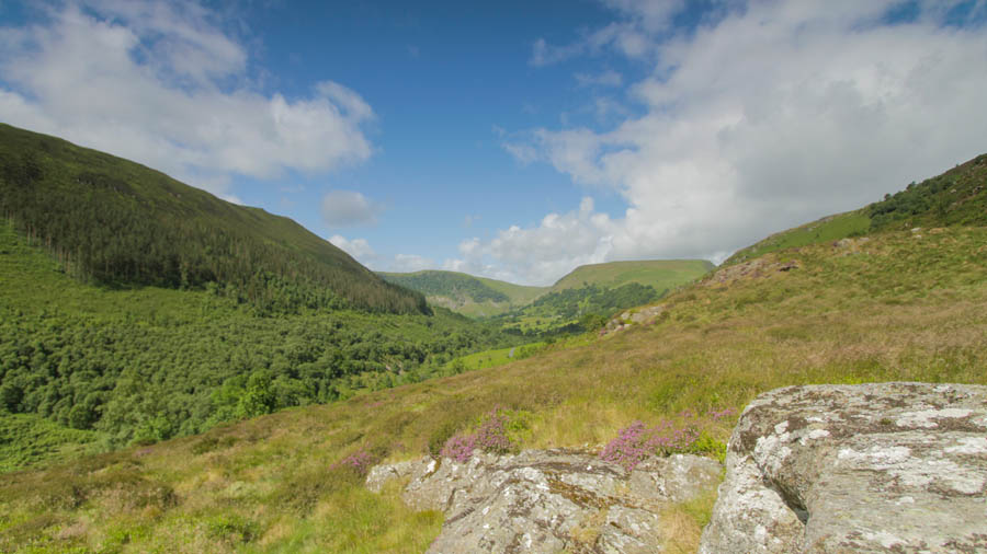 I have been commissioned to film and produce a short film about the beautiful Gilfach Nature Reserve which is located in the heart of Wales. It is run by <a href="http://www.rwtwales.org">Radnorshire Wildlife Trust</a> and the film will be for their new visitor centre.